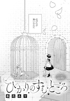 Где живёт свет