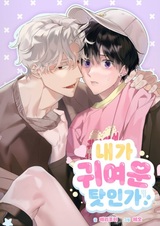 Это потому, что я милый?