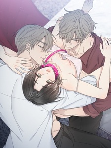 Ловушка близнецов