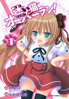 Нашествие бродячих кошек!