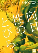 Дверь на солнечную сторону