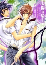 Рыцарь солнца