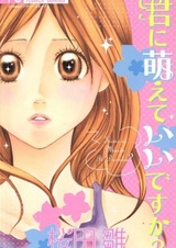 Позволишь мне любить тебя?