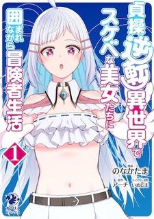 Жизнь искателя приключений в потустороннем мире, отменяющем целомудрие, в окружении развратных красоток