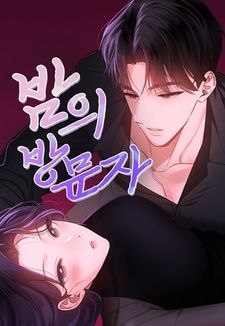 Ночной гость