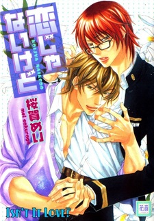 Не это ли любовь?