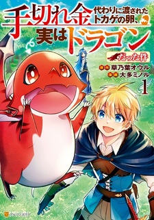 Tegirekingawari ni Watasareta Tokage no Tamago, Jitsu wa Dragon Datta Ken