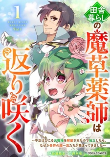 Inakagurashi no Masou Kusushi wa Kaerizaku: Fusei Habikoru Moto Shokuba wo Kaiko sareta node Dokuritsu shitara, Nazeka Kakukai no Chou Ichiryuu-tachi ga Atsumattekimashita