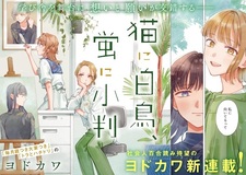 Лебедь для кота, монета для светлячка