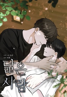 Похожий на тебя: Другая история