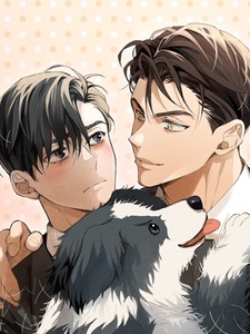 Повседневная романтика