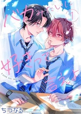 Baka Mitai ni Suki tte Ie yo