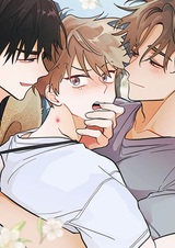 When Pear Blossoms Bloom