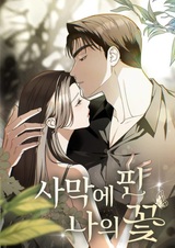 Мой цветок, распустившийся в пустыне