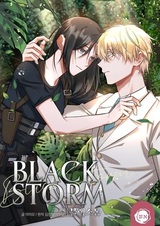 Чёрный шторм