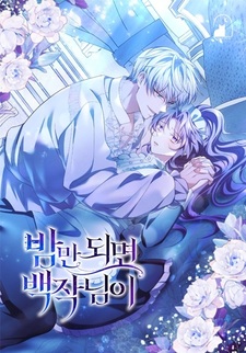 Граф, приходящий с наступлением ночи