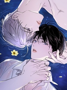 Искажённый взгляд