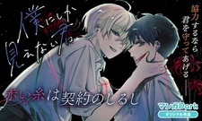 Boku ni shika Mienai Kimi