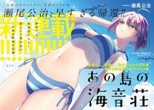 Островной отель «Уминэ»