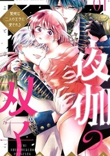 Yotogi no Futago: Niehime wa Futari no Ouji ni Aisareru