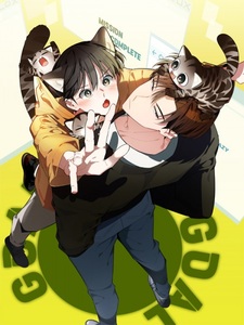 Если не хочешь увидеть, как я схожу с ума, роди мне котёнка!