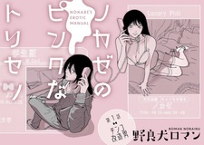 Nokaze no Pink na Torisetsu