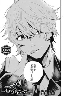 Kono Ue Kimi de Mitashitai