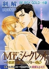 Mr. Secret Floor - Shousetsuka no Tawamure na Hibiki