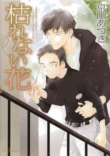 Неувядающие цветы