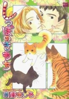 Чувства Сиппо