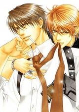 Кот и хозяин-пёс