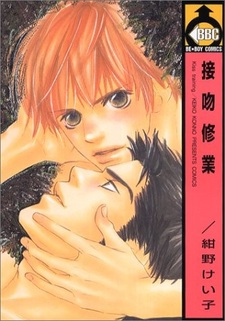 Любовь сёдзе-мангаки