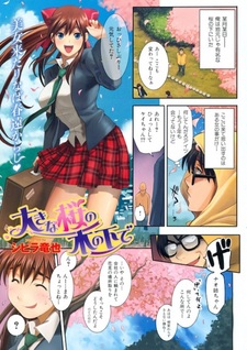 Под сенью сакуры