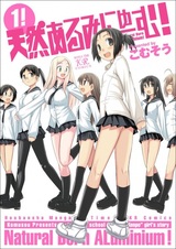 Натуральный алюминий!