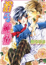 Покорённый чистым сердцем