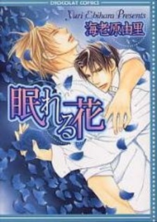 Cпящий цветок