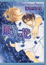 Cпящий цветок