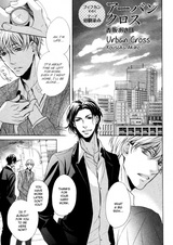 Городская встреча