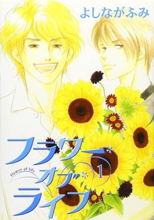 Цветок жизни