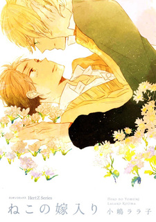 Девять жизней любви