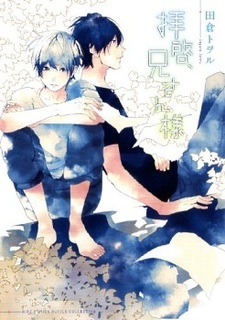 Дорогой брат