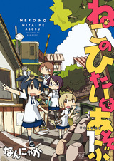 Игры с кошкой