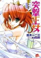 Штурмовая принцесса