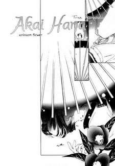 Тёмно-красный цветок