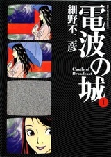 Крепость телевещания