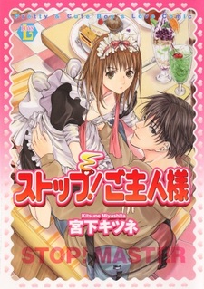 Стоп! Мастер