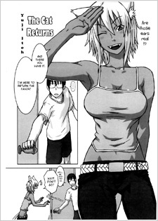 Возвращение кошки