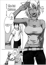 Возвращение кошки