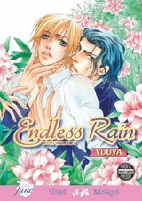 Бесконечный дождь