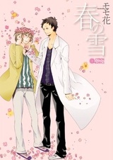 Весенний снег